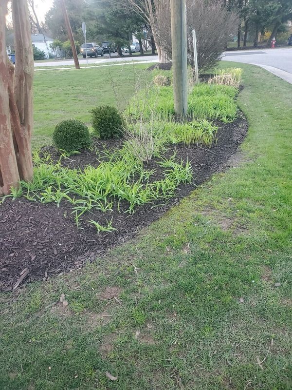 Lawn Care & Maintenance