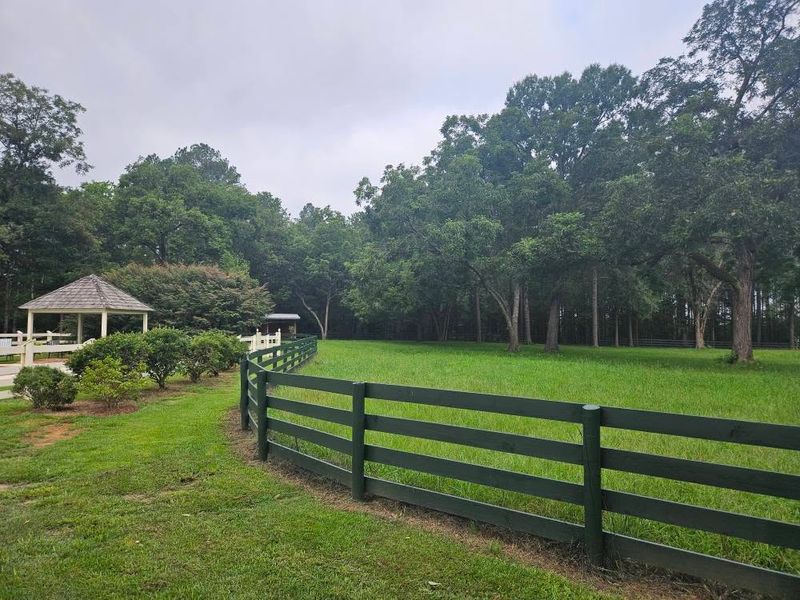 Landscaping
