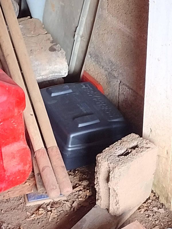Pest Control gallery