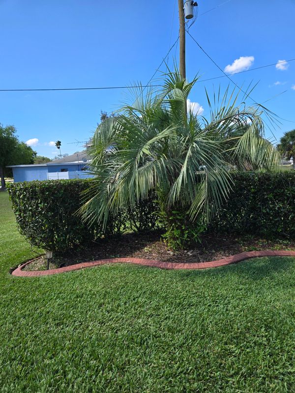 Lawn Care & Maintenance