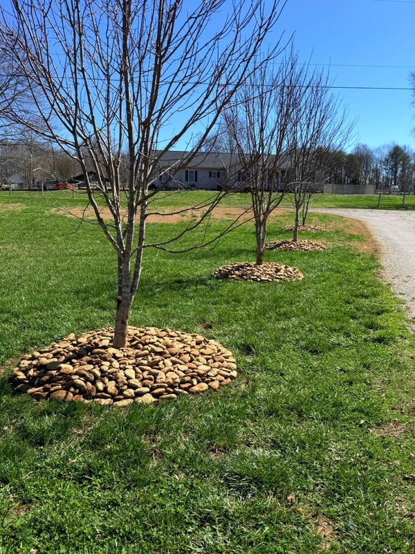Hardscaping