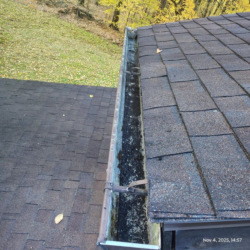 Gutter Cleaning