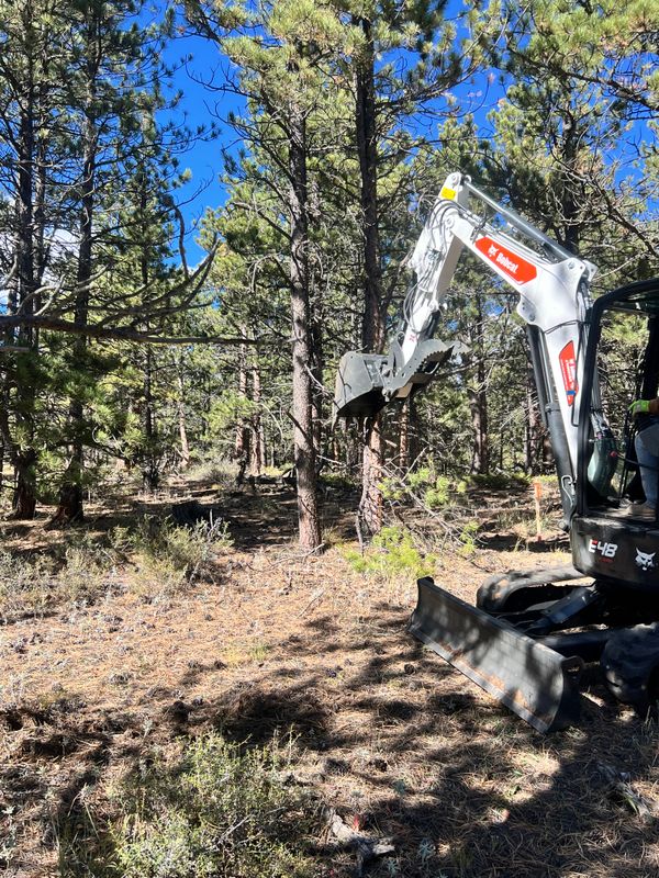 Land Clearing