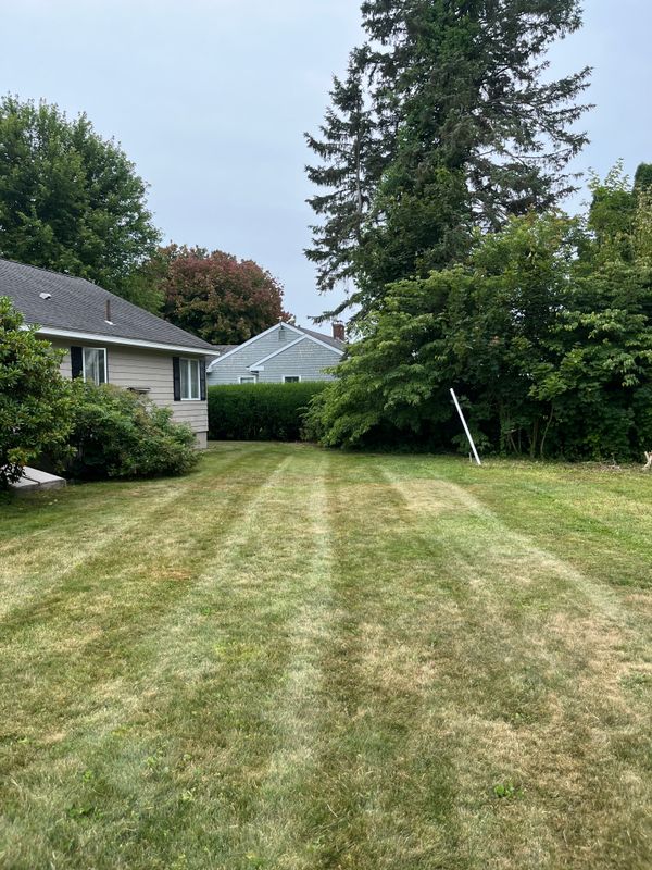 Lawn Maintenance