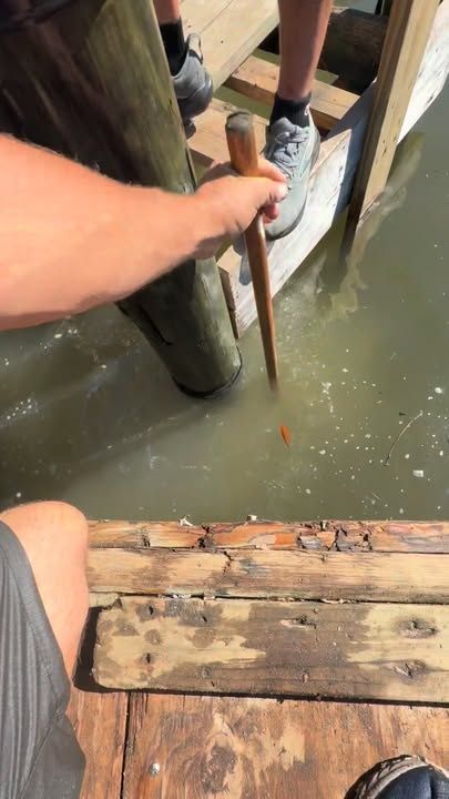 Pier and Dock Construction