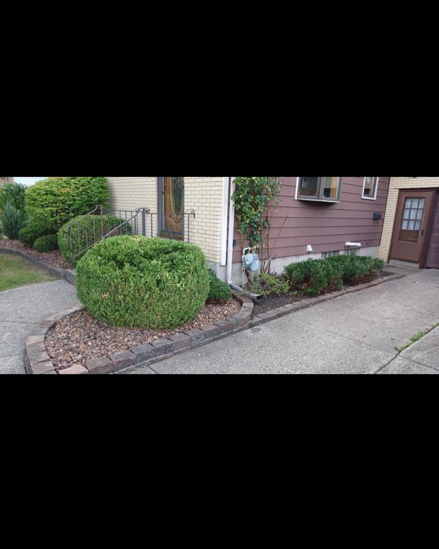 Shrub & Plant Installation Photos