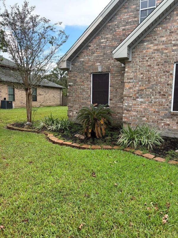Lawn Maintenance