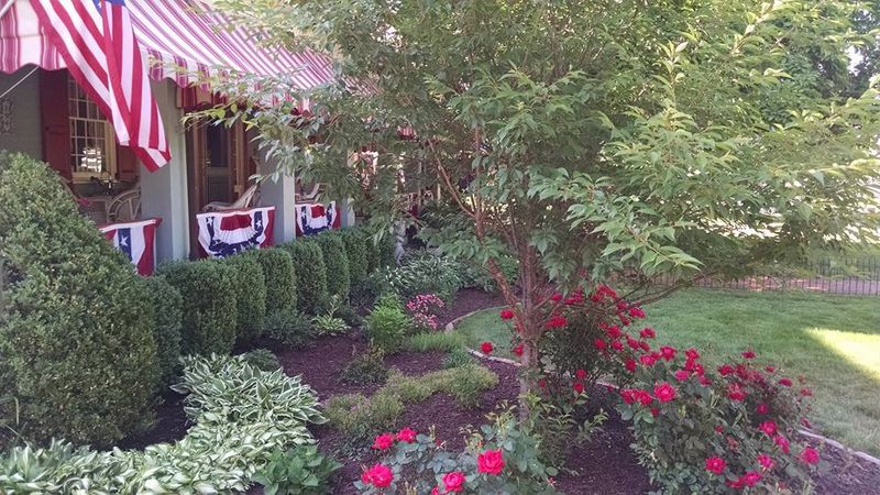 New landscapes. Plantings and mulch