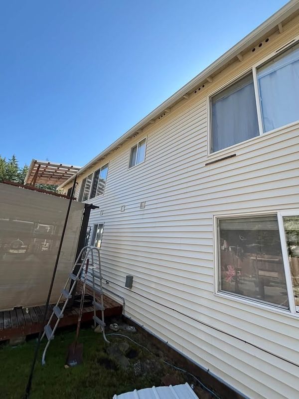 Gutter Cleaning