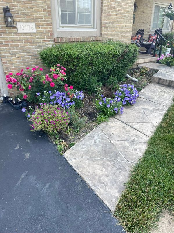Lawn Maintenance