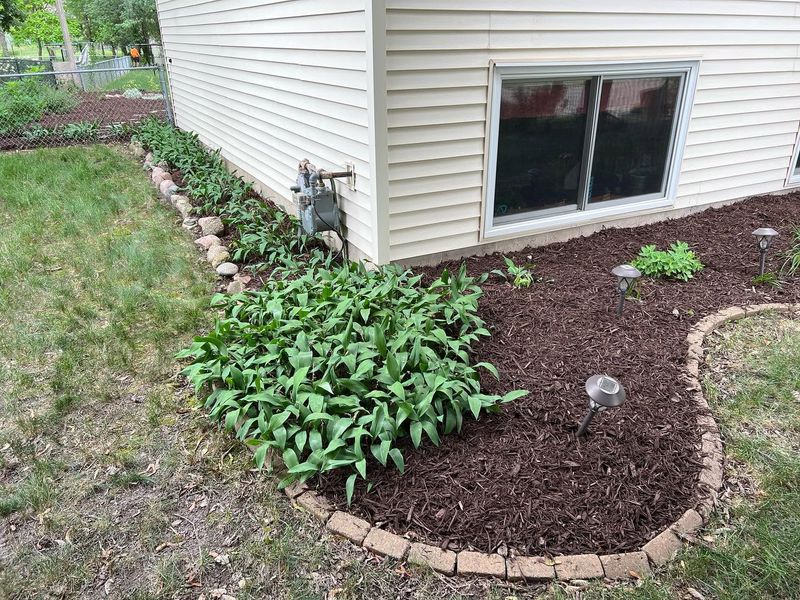 Mulching & Edging