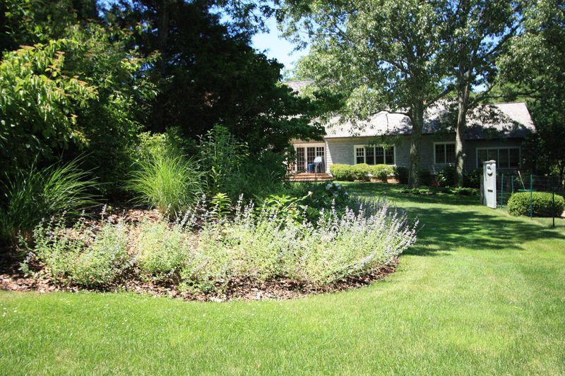 Landscape Design