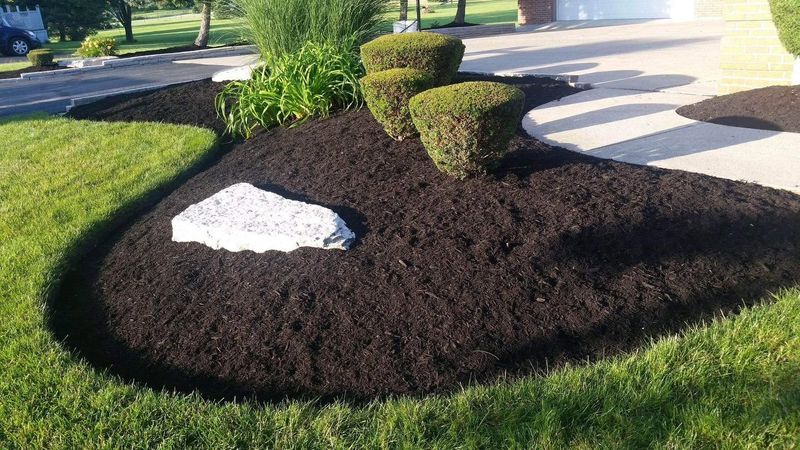 Shrub Trimming