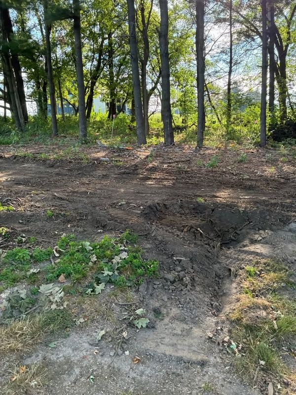 Land Clearing