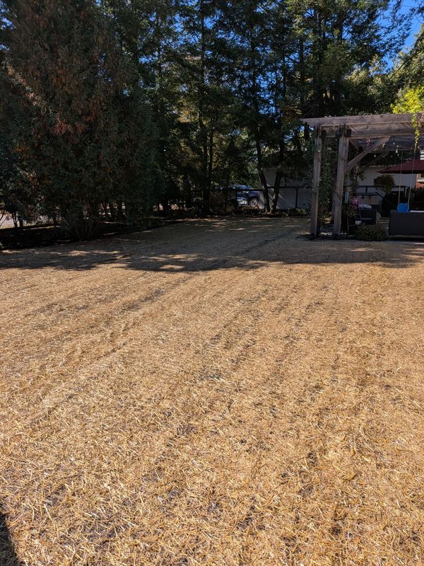 Sod & Lawn Installation