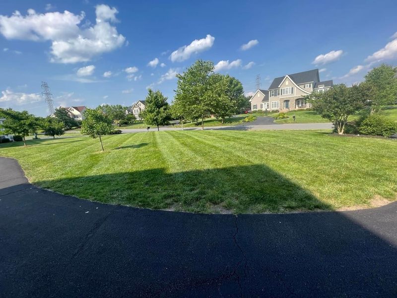 Lawn Aeration and Overseeding