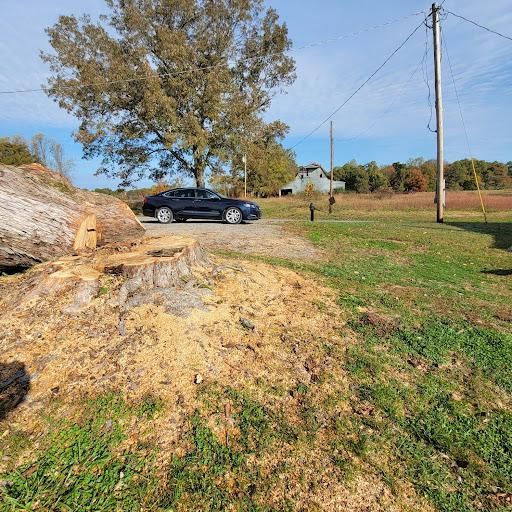 Stump grinding