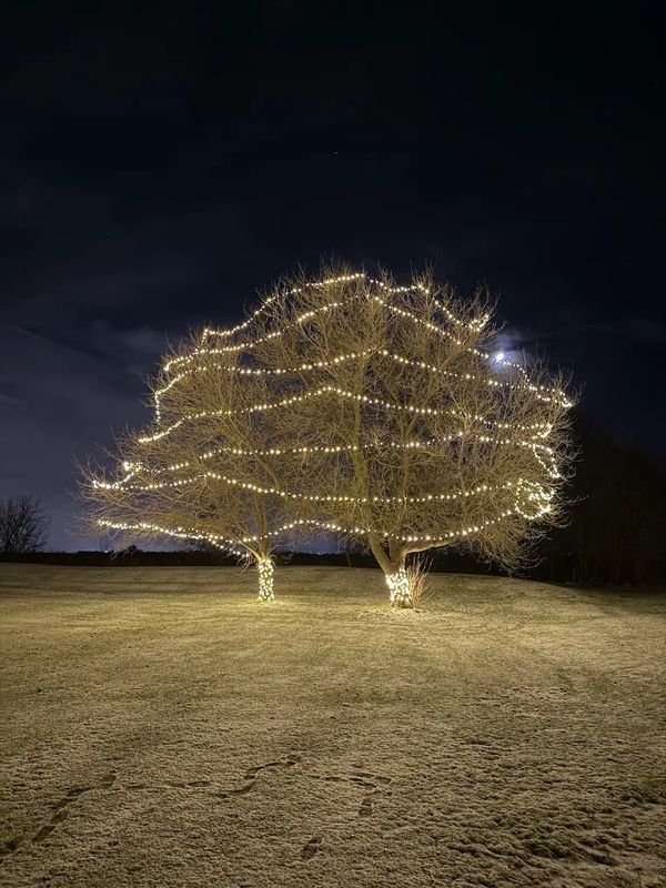 Permanent Lighting