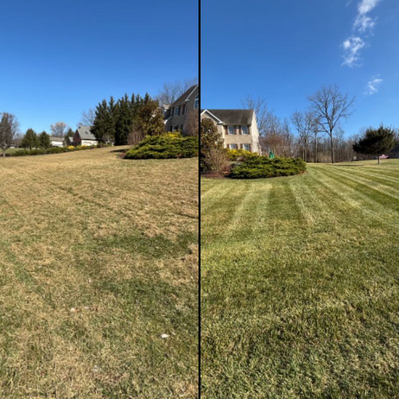 Lawn Mowing