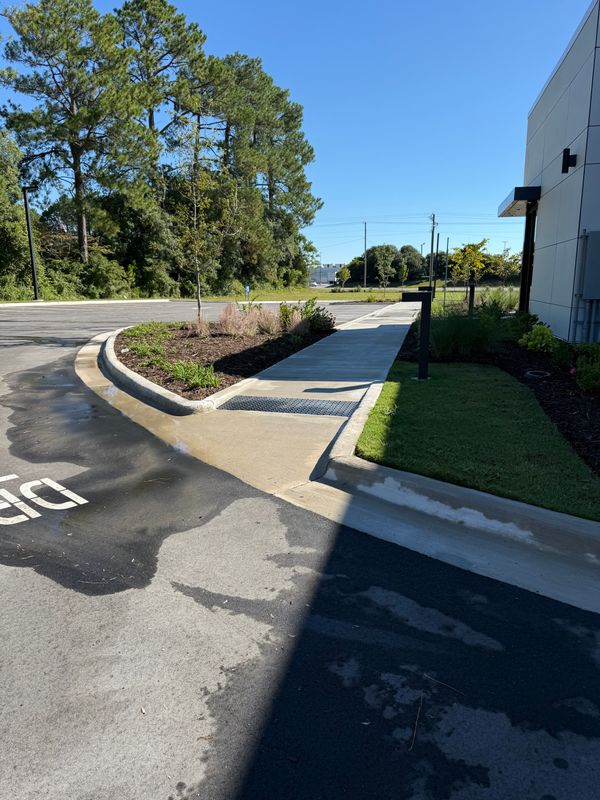 Driveway and Sidewalk Cleaning