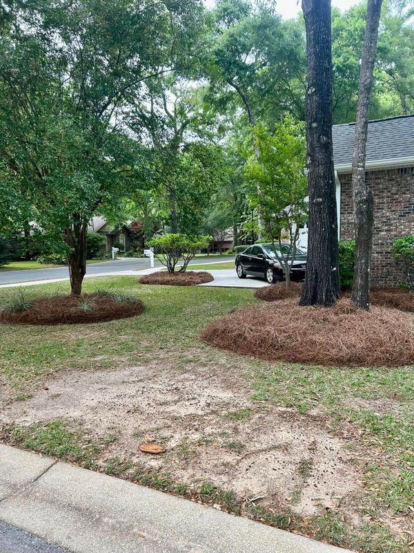 Garden Design