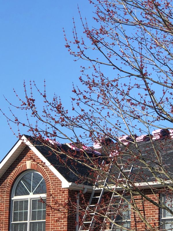 Full Roof Replacement