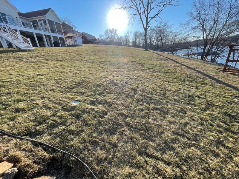 Sod Installation