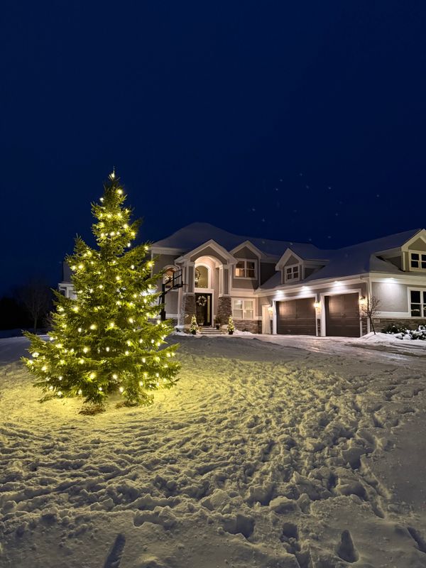 Landscape Lighting