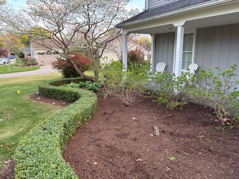Spring Transformation: Revitalize Your Outdoor Space with Alfie's Expert Landscaping Services