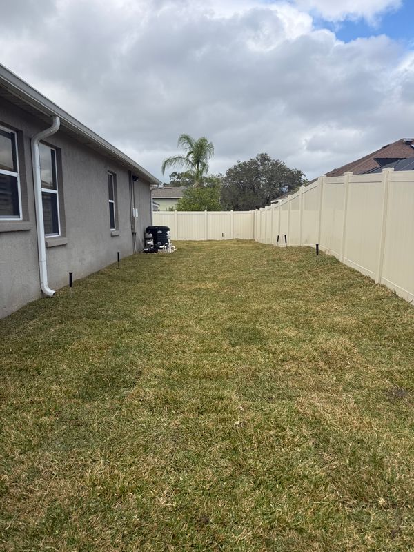 Sod Installation