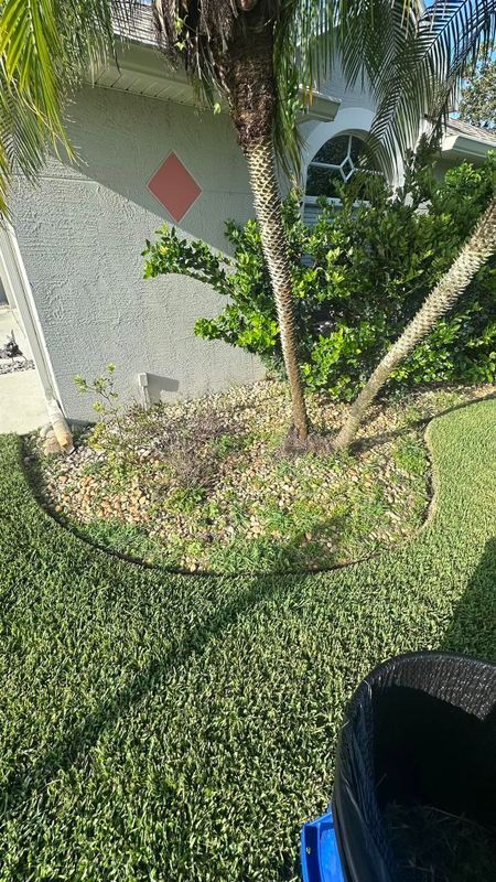 Lawn Care and Maintenance