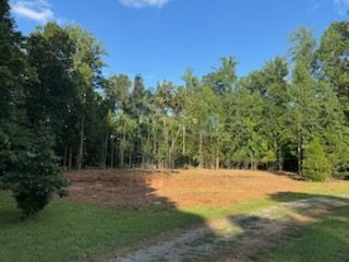 Forestry Mulching