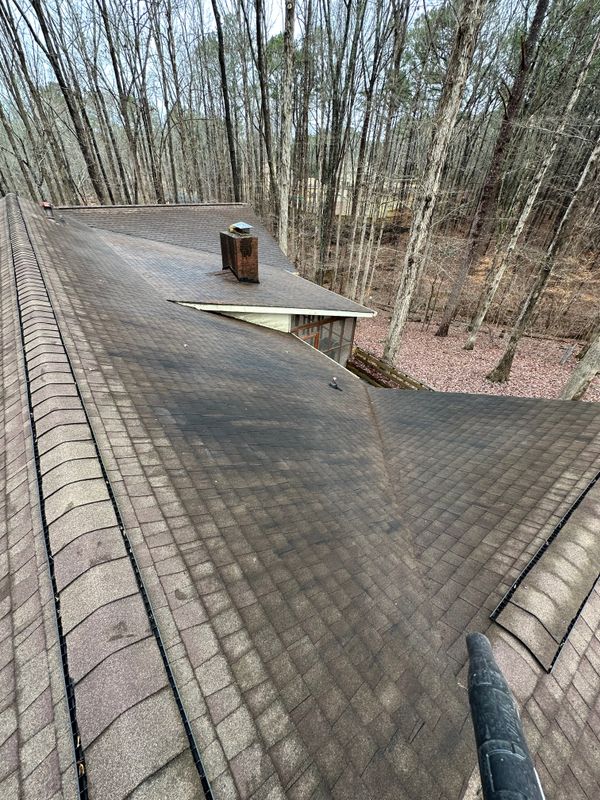 Gutter Cleaning