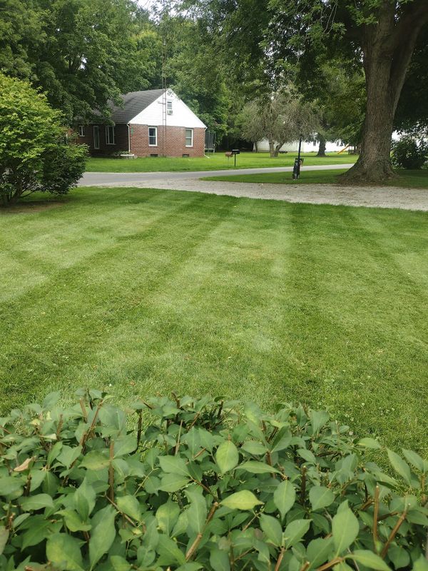 Lawn Care and Maintenance