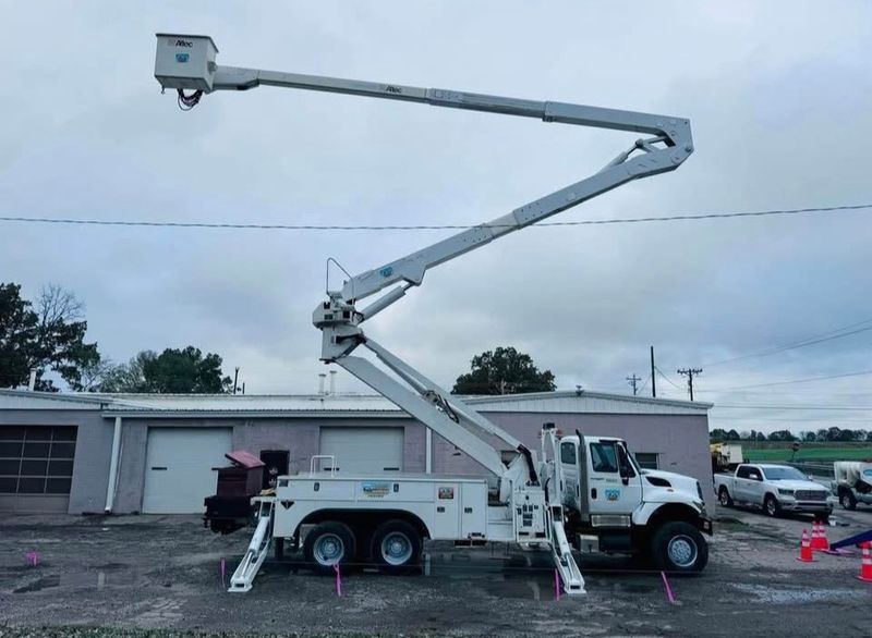 Tree Removal