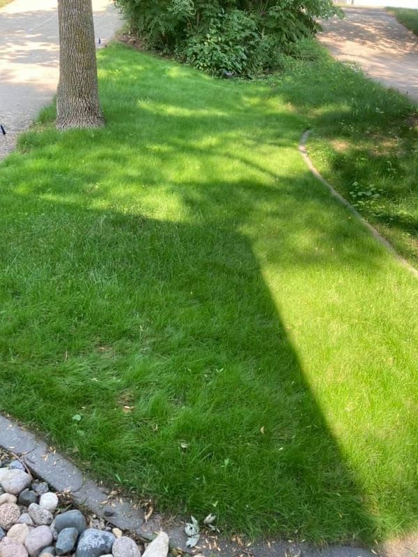 Erosion control / Hydroseeding gallery