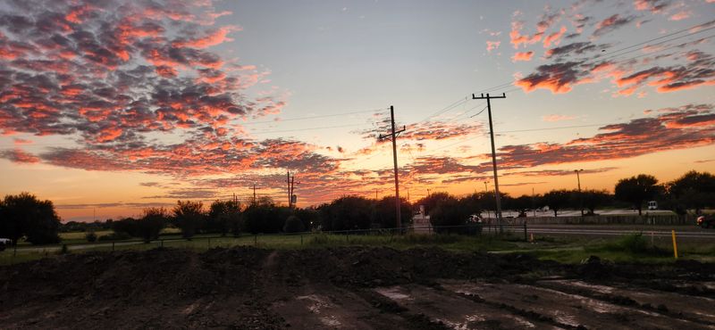 Land Clearing and Site Preparation