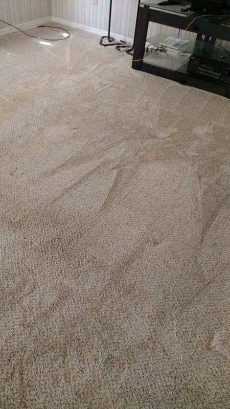 Commercial Cleaning 