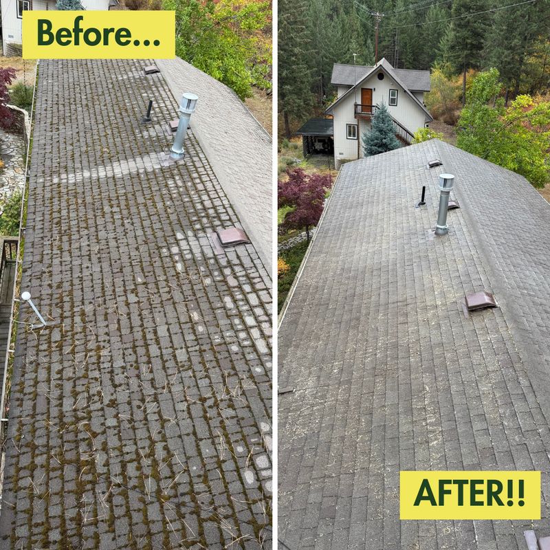 Before & After Photos