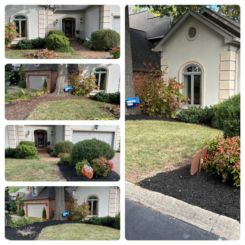 Mulch