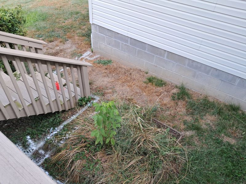 Concrete pad and Grill Hut