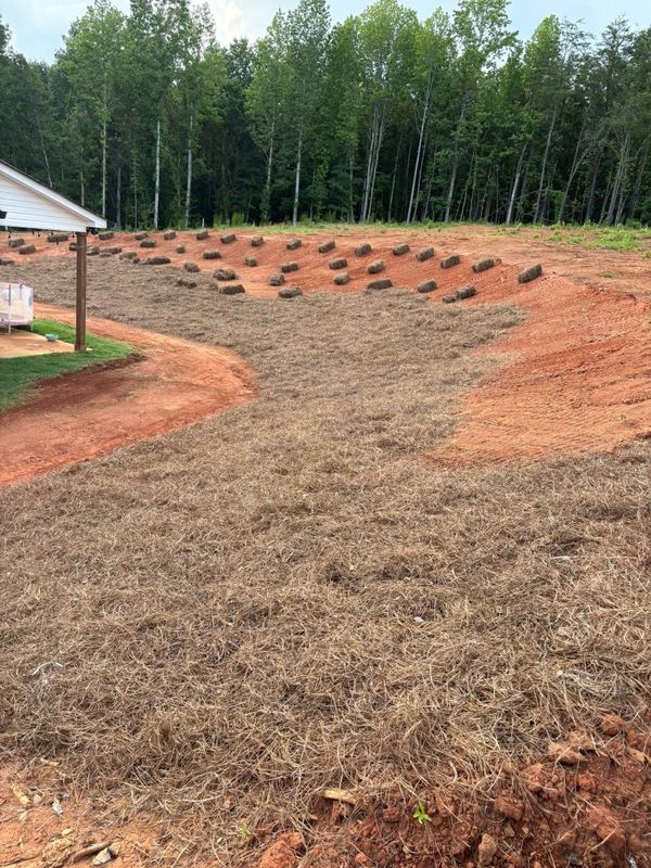 Mulch and Pinestraw Installation
