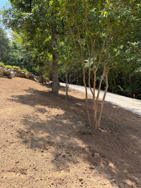 Land Grading