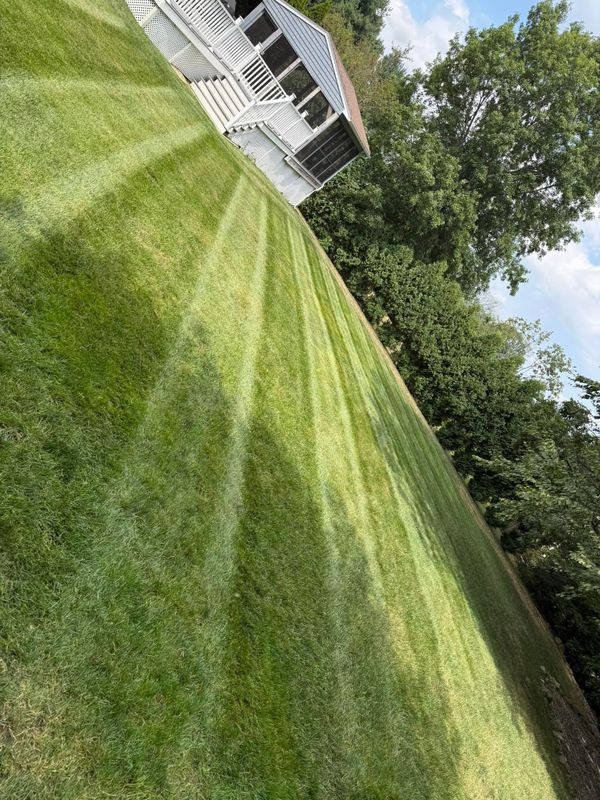 Lawn Maintenance