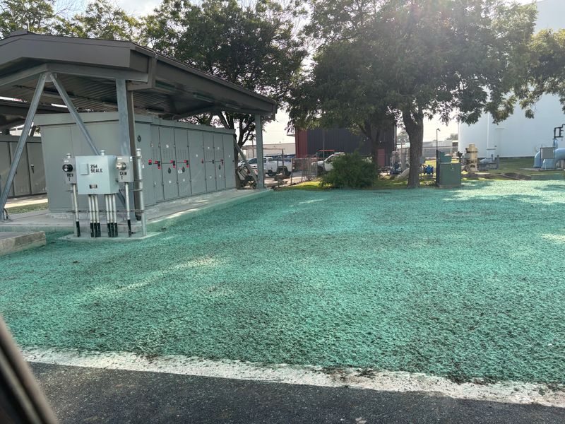 Hydro Mulching