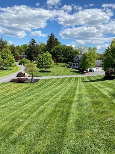 Lawn Mowing
