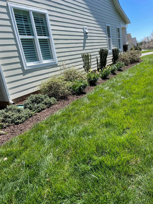 Tree & Shrub Care
