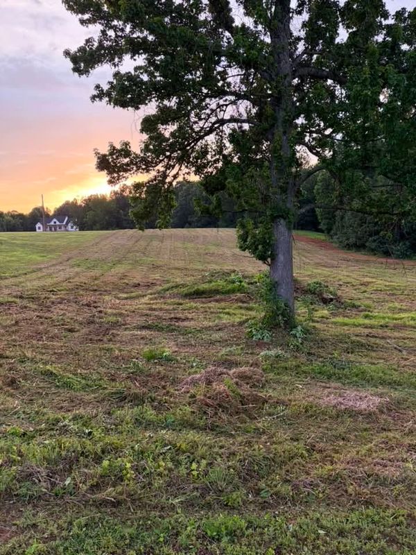 Brush Clearing