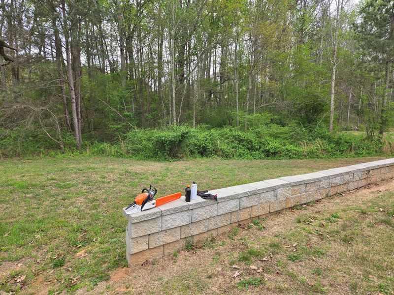 Lawn and Landscape Services