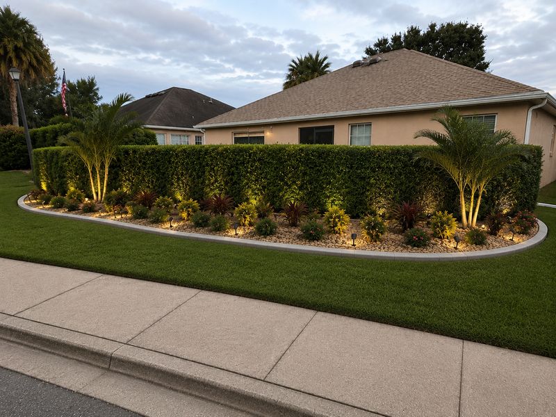 Palm Tree Pruning